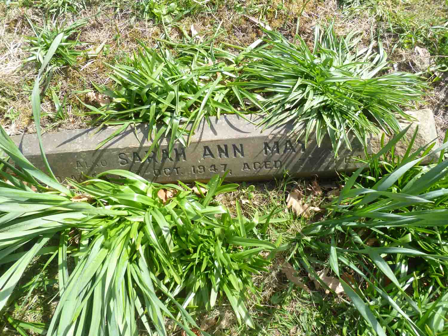 May, Sarah Ann (D Left 1031) (1)